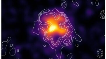 Nouvelle radio halo découverte avec Meerkat