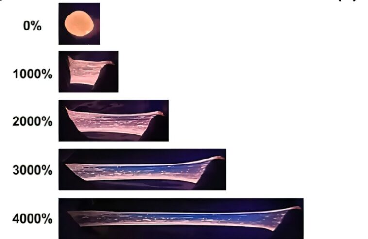 Organogel changeant de couleur s'étend 46 fois sa taille et ses auto-guérison