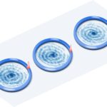 Oscillations collectives de Bloch observées dans le système de gaz Bose 1D