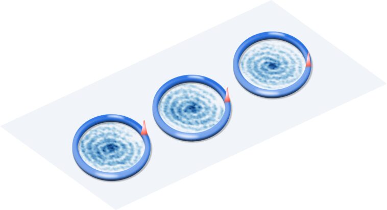 Oscillations collectives de Bloch observées dans le système de gaz Bose 1D