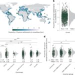 Plus de la moitié des colonies côtières du monde se retirant de la montée des mers, montre l'étude