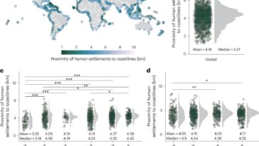Plus de la moitié des colonies côtières du monde se retirant de la montée des mers, montre l'étude