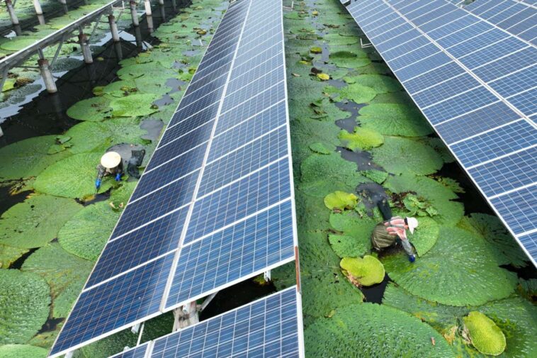 Pourquoi l'énergie solaire est la seule source d'alimentation viable à long terme