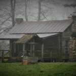 Pourquoi la construction d'un logement centré sur la nature implique un changement de mentalité