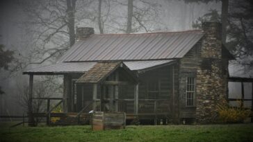 Pourquoi la construction d'un logement centré sur la nature implique un changement de mentalité