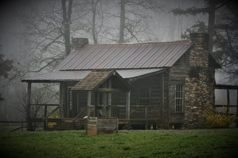Pourquoi la construction d'un logement centré sur la nature implique un changement de mentalité Pourquoi la construction d'un logement centré sur la nature implique un changement de mentalité