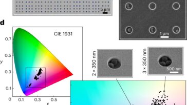`` Sieve optique '' détecte les plus petits morceaux de plastique dans l'environnement plus facilement que jamais