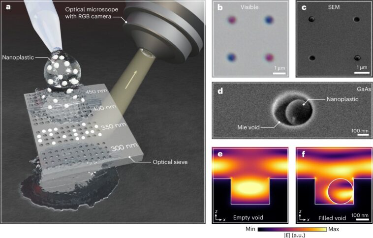 Tiny Chip peut trier et compter les nanoplastiques pour une meilleure surveillance de la pollution