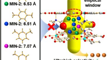 Un matériau poreux innovant permet une séparation efficace du xylène à température ambiante