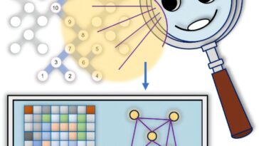 Un outil évolutif et précis pour caractériser l'enchevêtrement dans les processeurs quantiques