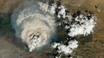 Un paradoxe de pollution: les incendies de forêt dans l'ouest des États-Unis peuvent améliorer la qualité de l'air