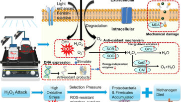 Une doublure argentée dans les boues d'égout: acides gras volatils