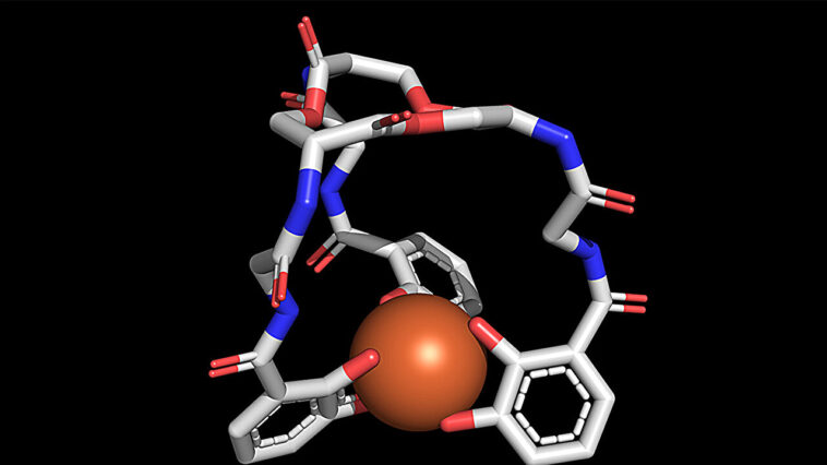 Une molécule qui permet aux microbes de manger du méthane