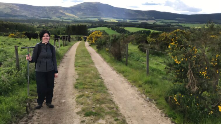 Une nouvelle méthode pour identifier l'érosion du sol pourrait aider à protéger les voies navigables