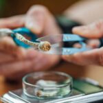 Une seule dose de psilocybine semble être suffisante pour recâbler le cerveau