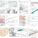 Une simplicité cachée derrière la façon dont les gens se déplacent: l'étude révèle le rôle de la géographie dans la relocalisation Une simplicité cachée derrière la façon dont les gens se déplacent: l'étude révèle le rôle de la géographie dans la relocalisation