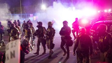 Carte postale de Chicago : il y a une installation ICE dans mon jardin