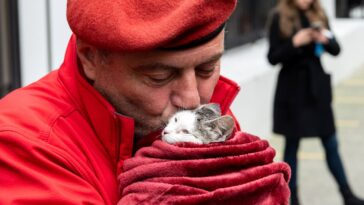 La nouvelle « babygirl » d'Internet s'appelle Curtis Sliwa
