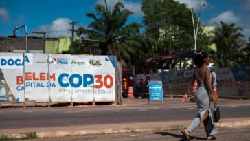 Arbres, objectifs et milliards : quel est le programme de la COP30 ?