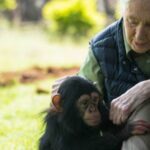 Ce que Jane Goodall m'a appris sur les os, la perte et ne gaspiller rien