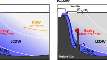 Comment l'océan austral contrôlait le climat et le dioxyde de carbone atmosphérique pendant les interglaciaires tièdes