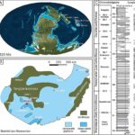 Comment l'orogenèse et les plantes ont façonné le paléoclimat de la Terre via l'altération des silicates