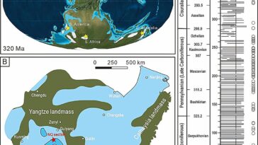 Comment l'orogenèse et les plantes ont façonné le paléoclimat de la Terre via l'altération des silicates