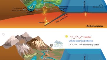 Comment la tectonique et les cycles astronomiques ont façonné le climat du Paléozoïque supérieur
