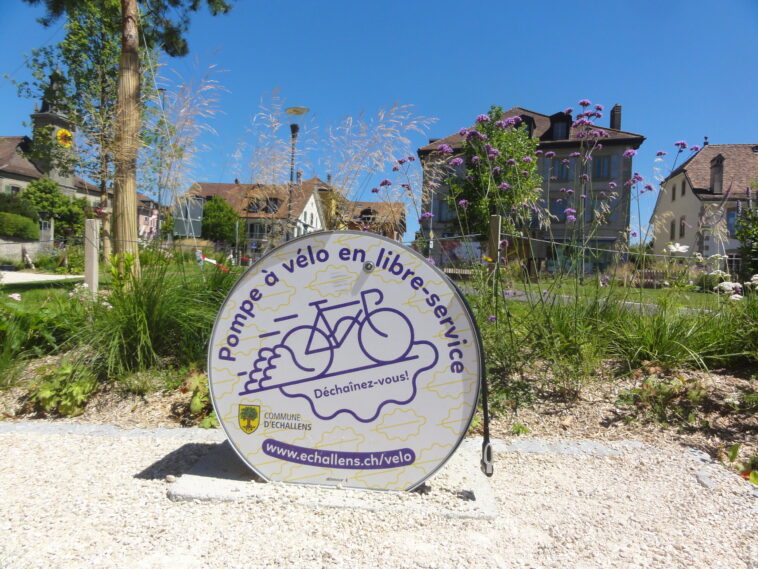 Comment les communautés rurales peuvent contribuer à la protection des ressources naturelles