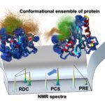 Comment les enzymes «dansent» pendant qu'ils fonctionnent, et pourquoi c'est important Comment les enzymes «dansent» pendant qu'ils fonctionnent, et pourquoi c'est important