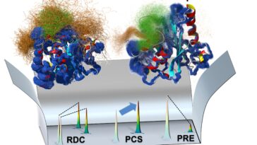 Comment les enzymes «dansent» pendant qu'ils fonctionnent, et pourquoi c'est important