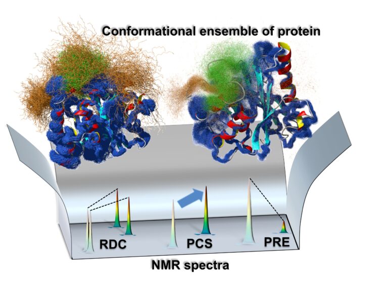 Comment les enzymes «dansent» pendant qu'ils fonctionnent, et pourquoi c'est important Comment les enzymes «dansent» pendant qu'ils fonctionnent, et pourquoi c'est important