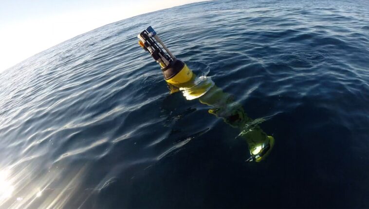 Comment les vagues de chaleur marine remodèlent les réseaux alimentaires de l'océan et le transport lent de carbone en mer profonde