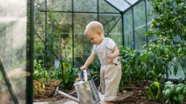 An infant holds a watering can in a greenhouse