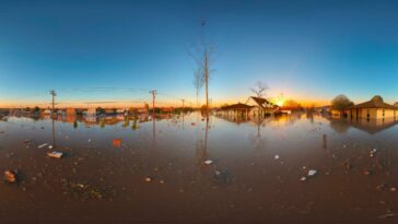 Comment un nouveau jeu en ligne permet d'imaginer la vie sur Terre en 2100