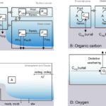 Comment une étincelle de nutriments a transformé la Terre en un monde d'oxygène
