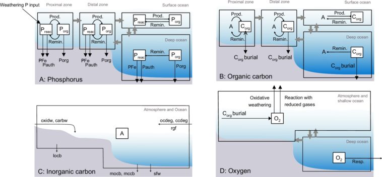 Comment une étincelle de nutriments a transformé la Terre en un monde d'oxygène