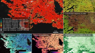 Création du premier système permettant de suivre en temps quasi réel les changements de la couverture terrestre mondiale