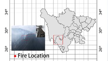 De faibles éclairs lors des orages en développement peuvent déclencher des incendies de forêt mortels