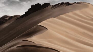 De la pluie au Sahara ? Des chercheurs prédisent un avenir plus humide pour le désert