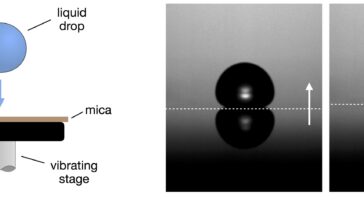 De minuscules gouttelettes qui rebondissent pendant des minutes sans éclater pourraient le faire indéfiniment.