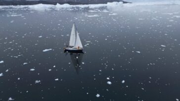 « De moins en moins de glace de mer » : une Brésilienne navigue en solo dans l'Arctique