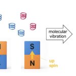 Découverte d'un nouveau principe : les molécules chirales adhèrent aux aimants Découverte d'un nouveau principe : les molécules chirales adhèrent aux aimants