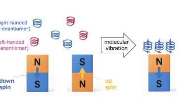 Découverte d'un nouveau principe : les molécules chirales adhèrent aux aimants