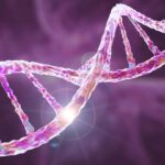 Décrypter la génétique de la fibromyalgie apporte un nouvel éclairage sur ses causes