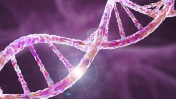 Décrypter la génétique de la fibromyalgie apporte un nouvel éclairage sur ses causes