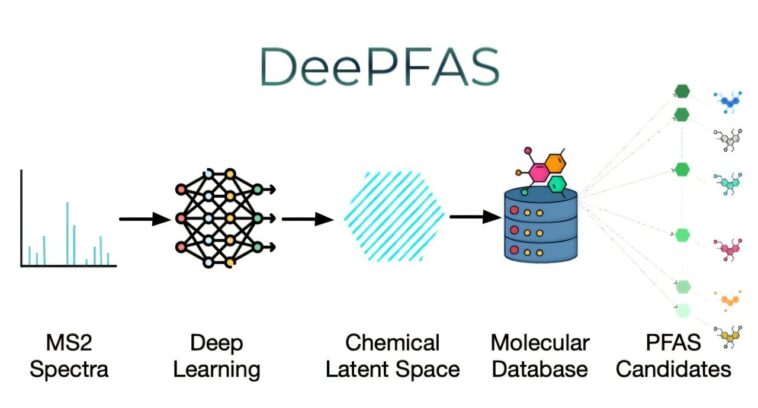 DeePFAS : un outil d'IA fait progresser la détection des « produits chimiques éternels »