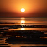 Dépasser l'objectif climatique de 1,5°C est "inévitable", selon le chef de l'ONU