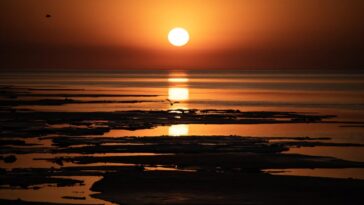 Dépasser l'objectif climatique de 1,5°C est "inévitable", selon le chef de l'ONU