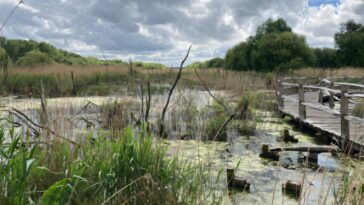 Des approches innovantes peuvent aider le secteur financier à répondre à la perte de la nature